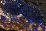 Azurite du Maroc (botryoïdale sur Barytine) - 129 g / AY884 - Vignette | 1001 minéraux