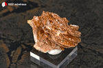 Vanadinite du Maroc (cristaux orange-brun sur Barytine blanche, sur socle) - 35 g / AZ409 - Vignette | 1001 minéraux