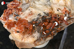 Vanadinite du Maroc (cristaux rouge-orange sur Barytine blanche, sur socle) - 35 g / AZ411 - Vignette | 1001 minéraux