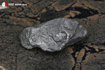 Shungite brute de Russie - 16 g / BD650 - Vignette | 1001 minéraux