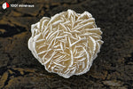 Rose des sables du Mexique (sphère unique cristallisée, arêtes blanches) - 88 g / BD710 - Vignette | 1001 minéraux