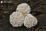 Rose des sables du Mexique (3 sphères cristallisées, arêtes blanches) - 79 g / BD711 - Vignette | 1001 minéraux
