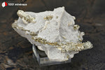Scapolite et Pyrite sur Gypse - France / Ariège - 120 g / BE870 - Vignette | 1001 minéraux