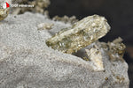 Scapolite et Pyrite sur Gypse - France / Ariège - 120 g / BE870 - Vignette | 1001 minéraux