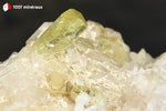 Brazilianite sur Albite du Brésil - 37 g / BE873 - Vignette | 1001 minéraux