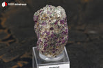 Pyrope et Diopside de Norvège - 47 g / BE879 - Vignette | 1001 minéraux