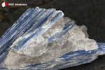 Kyanite bleue sur Quartz translucide du Brésil - 102 g / BE926 - Vignette | 1001 minéraux
