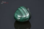Malachite polie de la République Démocratique du Congo (pierre roulée) - 20 g / BF633 - Vignette | 1001 minéraux