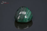 Malachite polie de la République Démocratique du Congo (pierre roulée) - 20 g / BF633 - Vignette | 1001 minéraux