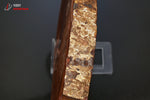 Grande tranche de Bois fossilisé - Madagascar - fossiles 21,2 cm / 919g / BG282 - Vignette | 1001 minéraux