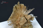 Aragonite aciculaire - Espagne - minéraux à cristaux 1,7 cm / 2,5g / BH29 - Vignette | 1001 minéraux