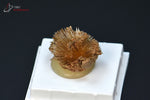 Aragonite aciculaire - Espagne - minéraux à cristaux 2,1 cm / 2,5g / BH36 - Vignette | 1001 minéraux