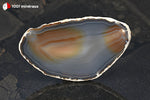 Tranche d'Agate naturelle du Brésil (ovoïde, bande translucide gris-bleu, centre brun et bleu-gris) - 34 g / BH766 - Vignette | 1001 minéraux