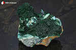 Malachite botryoïdale et Chrysocolle de la République Démocratique du Congo sur roche mère - 222 g / BJ812 - Vignette | 1001 minéraux