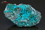 Grande Chrysocolle bleue sur Malachite - R.D. Congo - minéraux bruts 12,2 cm / 479g / BJ814 - Vignette | 1001 minéraux