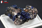 Cristaux d'Azurite sur Quartz - Maroc - minéraux à cristaux 4,6 cm / 45g / BK956 - Vignette | 1001 minéraux