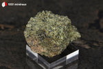 Péridot sur basalte des États-Unis (cristaux naturels) - 64 g / BM267 - Vignette | 1001 minéraux