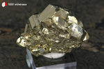 Pyrite cristallisée du Pérou (nombreux pyritoèdres 6-17 mm) - 93 g / BN925 - Vignette | 1001 minéraux