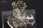 Météorite Campo del Cielo d'Argentine - 2,2 cm - 17 g / BP144 - Vignette | 1001 minéraux