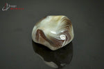 Agate zonée du Botswana polie (gris clair et brun foncé, cercles bitonaux) - 21 g / AY343 - Vignette | 1001 minéraux