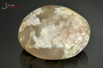 Agate fleurs de Madagascar galet poli translucide (inclusions blanches) - 159 g / BA659 - Vignette | 1001 minéraux