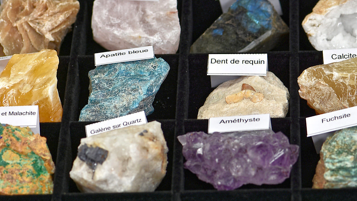 Collection de minéraux dans vitrine - Améthyste, Quartz, Fluorite, Labradorite