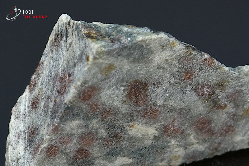 Minéral brut éclogite à grenats de France 