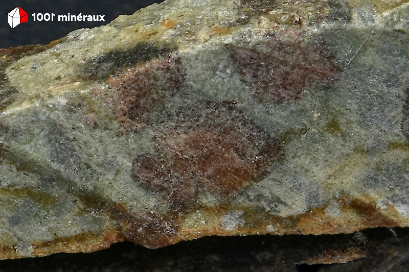 Éclogite de Loire-Atlantique - Détail des Grenats rouge foncé dans la matrice vert clair - 24 g - AE433

