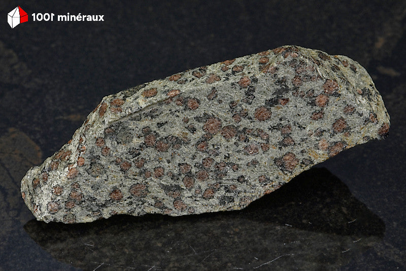 Éclogite à Grenats de Loire-Atlantique - Nombreux petits Grenats rouge pâle sur une matrice verdâtre - AE434
