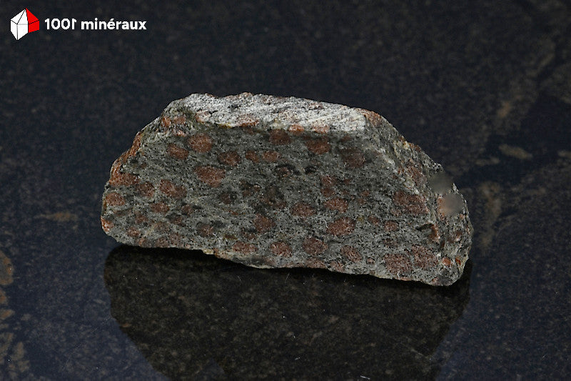 Éclogite à Grenats de Loire-Atlantique - Matrice vert foncé parsemée de nombreux petits Grenats - 5,3 x 2,7 x 1 cm - AE438
