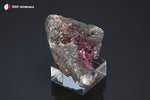 Erythrine - Maroc - minéraux à cristaux 4 cm / 14g / AG259-2 - Vignette | 1001 minéraux