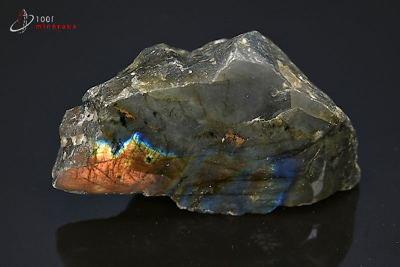 Labradorite minéral poli sur une face brut avec reflets de couleurs de Madagascar