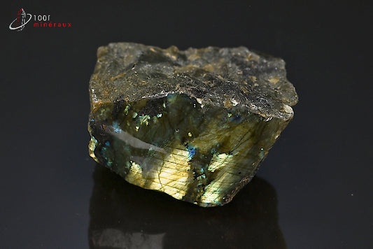 Labradorite minéral poli sur une face brut avec reflets de couleurs de Madagascar