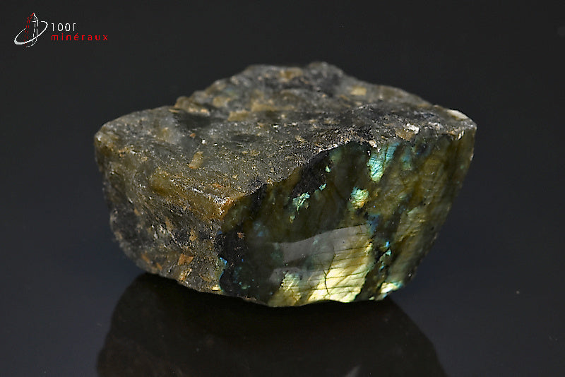 Labradorite minéral poli sur une face brut avec reflets de couleurs de Madagascar