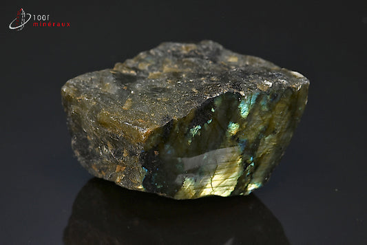 Labradorite minéral poli sur une face brut avec reflets de couleurs de Madagascar