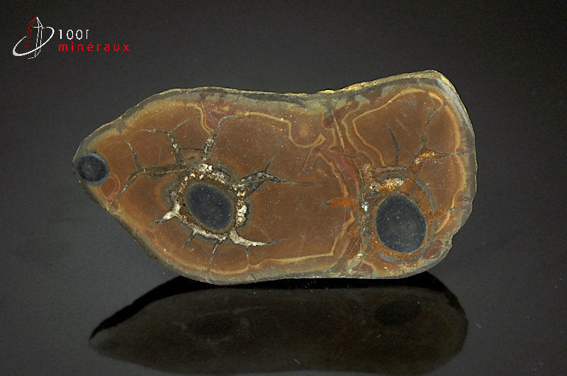 Minéral scié d'un nodule de septaria du Maroc