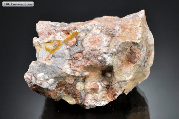 Minéral jaspe à ocelles brut du Brésil marron