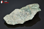 Fuchsite - Autriche - minéraux bruts 11,3 cm / 165g / AL118 - Vignette | 1001 minéraux