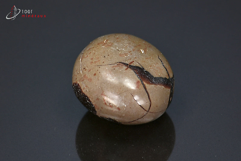 Minéral poli pour la lithothérapie de septaria marron de Madagascar