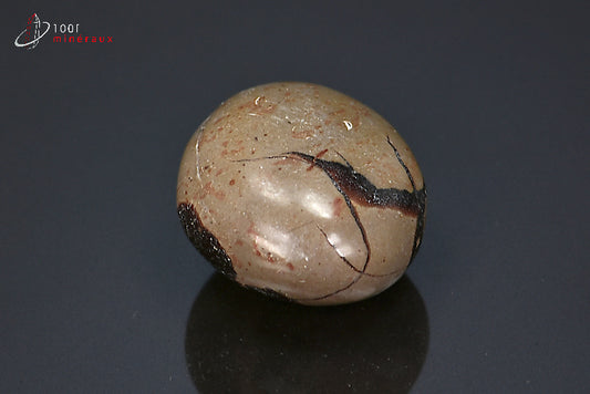 Minéral poli pour la lithothérapie de septaria marron de Madagascar