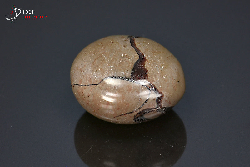 Minéral poli pour la lithothérapie d'une septaria marron de Madagascar