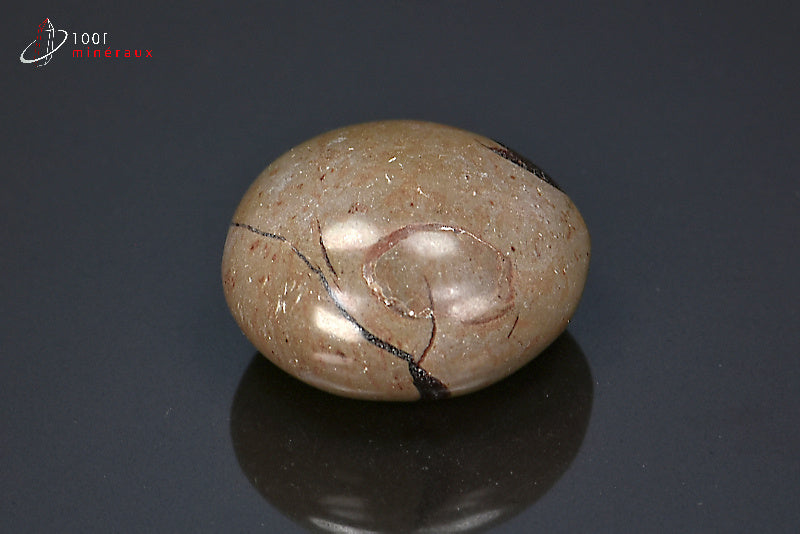 Minéral poli pour la lithothérapie d'une septaria marron de Madagascar