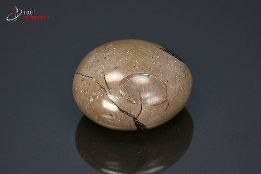 Minéral poli pour la lithothérapie d'une septaria marron de Madagascar