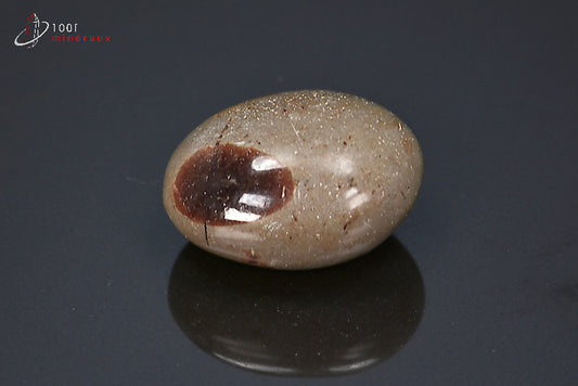 Minéral poli pour la lithothérapie d'une septaria marron de Madagascar