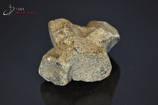 Minéral de staurotide cristallisée de France