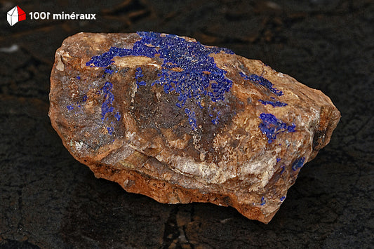 Azurite du Maroc - Croûte sur roche de 179 g - AN871