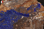 Azurite du Maroc (croûte sur roche) - 171 g / AN872 - Vignette | 1001 minéraux