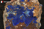 Azurite du Maroc (croûte sur roche) - 247 g / AN873 - Vignette | 1001 minéraux