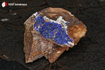 Azurite du Maroc (croûte sur roche) - 157 g / AN875 - Vignette | 1001 minéraux
