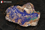 Azurite du Maroc (croûte sur roche, inclusions de Malachite verte) - 187 g / AN876 - Vignette | 1001 minéraux
